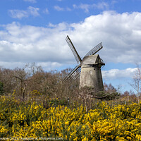 Buy canvas prints of Bidston Windmill in Spring by Philip Brookes