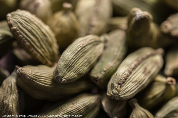 Closeup of Cardamom pods Picture Board by Philip Brookes