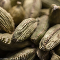 Buy canvas prints of Closeup of Cardamom pods by Philip Brookes