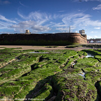 Buy canvas prints of Fort Perch Rock, New Brighton, Wirral by Philip Brookes