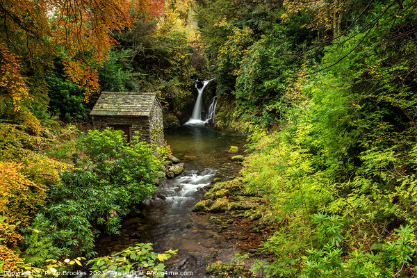 Rydal Falls in Autumn Picture Board by Philip Brookes