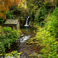 Buy canvas prints of Rydal Falls in Autumn by Philip Brookes