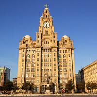 Buy canvas prints of Royal Liver Building, Liverpool by Philip Brookes