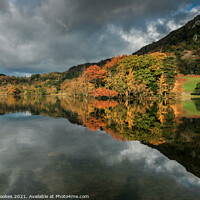 Buy canvas prints of Rydal Water Reflections by Philip Brookes