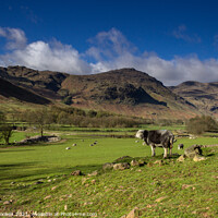 Buy canvas prints of Pike o' Blisco and Langdale Valley Pasture by Philip Brookes