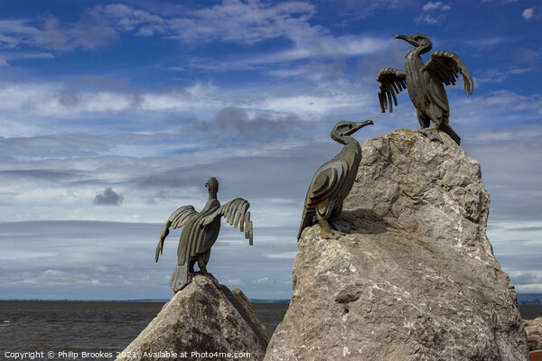 Cormorant sculptures, Morecambe Stone Jetty Picture Board by Philip Brookes