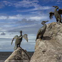 Buy canvas prints of Cormorant sculptures, Morecambe Stone Jetty by Philip Brookes