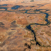 Buy canvas prints of Okavango Delta Aerial, Dry Landscape With River by Dietmar Rauscher