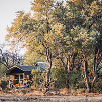 Buy canvas prints of Luxury Safari Tent in a Camp in the Okavango Delta, Botswana, Af by Dietmar Rauscher