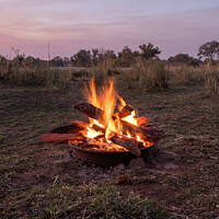 Buy canvas prints of Blazing Camp Fire in Nature at the Okawango, Africa by Dietmar Rauscher