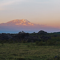Buy canvas prints of Kilimanjaro at Dusk with Snow on the Summit by Dietmar Rauscher