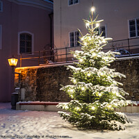 Buy canvas prints of Christmas Tree Outside in the Snow Illuminated on a Winter Night by Dietmar Rauscher