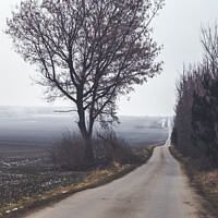 Buy canvas prints of Dreary, Lonely Country Road in Winter in Czech Republic by Dietmar Rauscher
