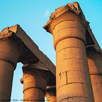 Buy canvas prints of Great Processional Colonnade of Amenhotep III, Luxor Temple, Egy by Dietmar Rauscher