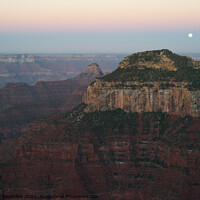 Buy canvas prints of Grand Canyon Dawn with Moon by Dietmar Rauscher