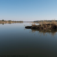 Buy canvas prints of Tranquil Okavango River Landscape, Namibia by Dietmar Rauscher
