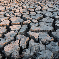 Buy canvas prints of Concept for Drought - Dry Cracked Soil by Dietmar Rauscher