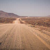 Buy canvas prints of Gravel Road C45 between Palmwag and Sesfontein in Namibia, Afric by Dietmar Rauscher