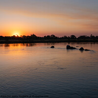 Buy canvas prints of Sunset on the Okavango River, Namibia by Dietmar Rauscher