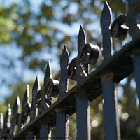 Buy canvas prints of Wrought Iron Fence in Charleston, South Carolina by Dietmar Rauscher