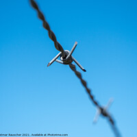 Buy canvas prints of Barbed Wire Isolated on Blue Sky by Dietmar Rauscher