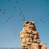Buy canvas prints of Colossi of Memnon Monumental Statue in Egypt by Dietmar Rauscher