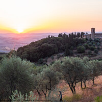 Buy canvas prints of Sunrise near Montalcino at the Convento dell'Osservanza  by Dietmar Rauscher