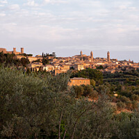 Buy canvas prints of Montalcino Cityscape on a Summer Morning by Dietmar Rauscher