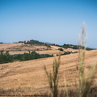 Buy canvas prints of Hills of Tuscany near Montalcino by Dietmar Rauscher