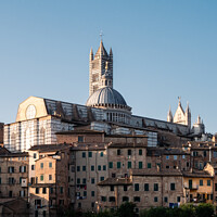 Buy canvas prints of Siena Cathedral Cityscape in Tuscany by Dietmar Rauscher