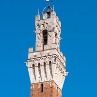Buy canvas prints of Torre del Mangia Tower in Siena, Italy by Dietmar Rauscher