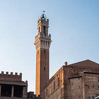 Buy canvas prints of Torre del Mangia Tower in Siena, Italy by Dietmar Rauscher