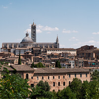 Buy canvas prints of Siena Cityscape with Duomo di Siena Cathedral by Dietmar Rauscher