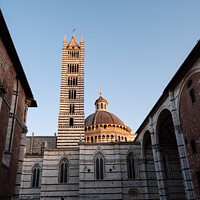 Buy canvas prints of Duomo die Siena Cathedral Tower and Dome by Dietmar Rauscher