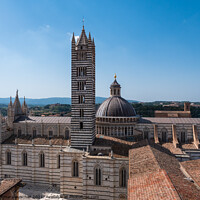 Buy canvas prints of Siena Duomo Cathedral aerial view  by Dietmar Rauscher