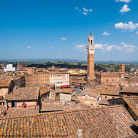 Buy canvas prints of Piazza Il Campo in Siena Aerial by Dietmar Rauscher
