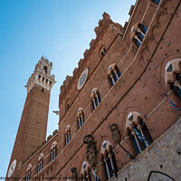Buy canvas prints of Torre del Mangia and Palazzo Pubblico in Siena by Dietmar Rauscher