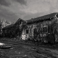 Buy canvas prints of Abandoned House Overgrown with Plants Black and White by Dietmar Rauscher