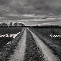 Buy canvas prints of Track Leading Through Empty Winter Fields in Lower Austria by Dietmar Rauscher