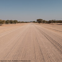 Buy canvas prints of Gravel Track Highway in Namibia near Omatjette by Dietmar Rauscher
