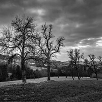 Buy canvas prints of Landscape with Hill and Trees in the Mostviertel of Austria by Dietmar Rauscher