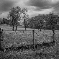 Buy canvas prints of Landscape in Mostviertel with Fence and Trees in Monochrome  by Dietmar Rauscher