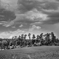 Buy canvas prints of Landscape near Malkovice in Western Bohemia in Black and White by Dietmar Rauscher