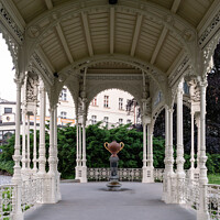Buy canvas prints of Snake Spring in the Park Colonnade of Karlovy Vary by Dietmar Rauscher