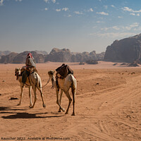 Buy canvas prints of Bedouin Riding a Dromedary Camel in Wadi Rum by Dietmar Rauscher