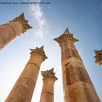 Buy canvas prints of Artemis Temple Pillars in Gerasa, Jordan by Dietmar Rauscher