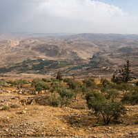 Buy canvas prints of Mount Nebo Landscape with Khirbet al-Mukhayyat Village by Dietmar Rauscher