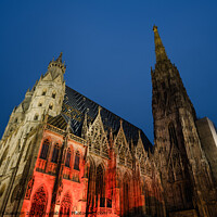 Buy canvas prints of Saint Stephen's Cathedral in Vienna at Night by Dietmar Rauscher