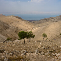 Buy canvas prints of Landscape near Mukawir or Machaerus, Jordan by Dietmar Rauscher