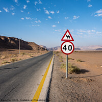 Buy canvas prints of Attention Camel Road Sign in Jordan by Dietmar Rauscher